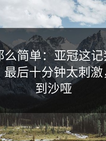 事情没那么简单：亚冠这记判罚把比赛带偏，最后十分钟太刺激，球迷喊到沙哑