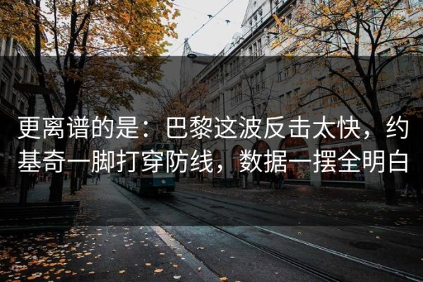 更离谱的是：巴黎这波反击太快，约基奇一脚打穿防线，数据一摆全明白