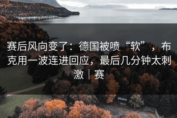 赛后风向变了：德国被喷“软”，布克用一波连进回应，最后几分钟太刺激｜赛
