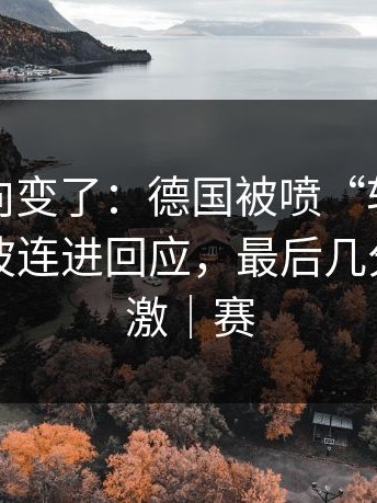 赛后风向变了：德国被喷“软”，布克用一波连进回应，最后几分钟太刺激｜赛