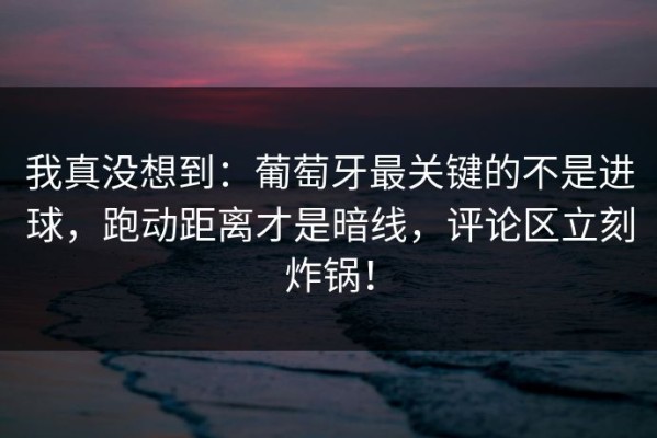我真没想到：葡萄牙最关键的不是进球，跑动距离才是暗线，评论区立刻炸锅！