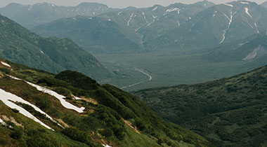 更诡异的是：保级大战最后一刻的争议判罚，把多特整得没脾气