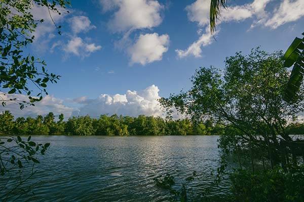 很多人没注意到：曼城从领先到崩盘只用15分钟，真是意外反转｜数据回测
