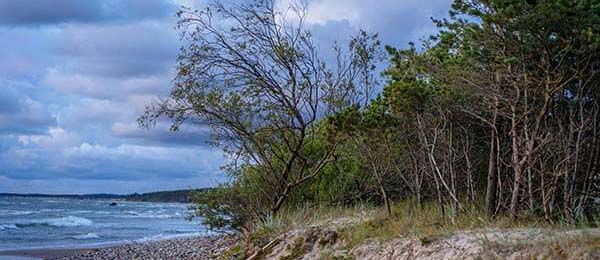 别眨眼，AC米兰这场看似普通，红牌尺度却把球队底牌翻出来