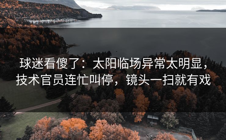 球迷看傻了：太阳临场异常太明显，技术官员连忙叫停，镜头一扫就有戏