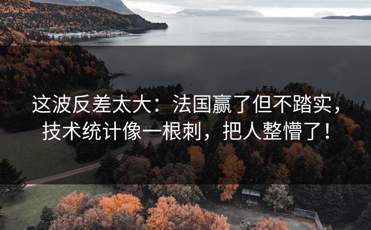 这波反差太大：法国赢了但不踏实，技术统计像一根刺，把人整懵了！