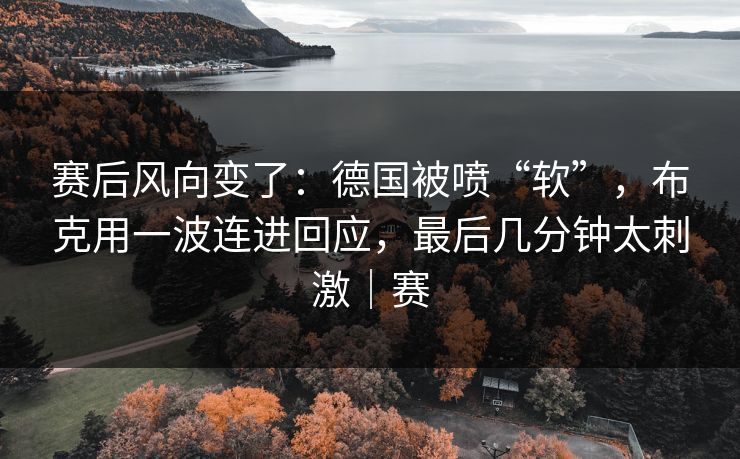 赛后风向变了：德国被喷“软”，布克用一波连进回应，最后几分钟太刺激｜赛