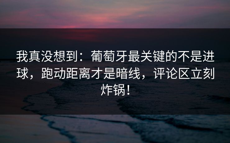 我真没想到：葡萄牙最关键的不是进球，跑动距离才是暗线，评论区立刻炸锅！