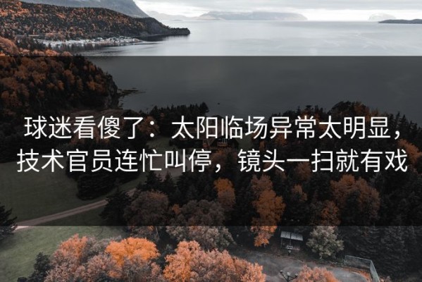 球迷看傻了：太阳临场异常太明显，技术官员连忙叫停，镜头一扫就有戏